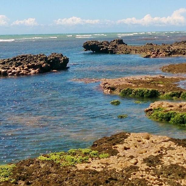 Caboco Sonhado Passeios Nauticos E Pousada Hotell Mundaú Exteriör bild